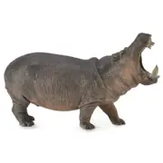 Collecta Hippopotamus