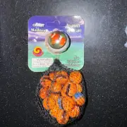 Mega Fun Glass Marbles Ocean Orange Clownfish Collectible Net Bag New
