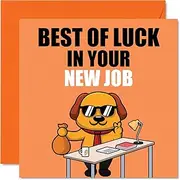 Leaving Cards for Colleagues Women Men - Best of Luck in your New Job - Sorry Your Leaving Good Luck In Your New Job Card, 145mm x 145mm Greeting Cards, Funny Leaving Gifts Congratulations Card