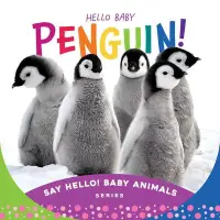 在飛比找博客來優惠-Hello Baby Penguin!