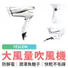 TESCOM 防靜電大風量吹風機 TID2200TW