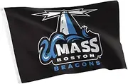 Desert Cactus UMass Boston 100% Polyester Indoor Outdoor 3x5 feet Banner (Flag B)