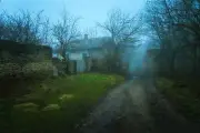 Landscape dirt road mist trees house mud grass gloomy Custom Gaming Mat Desk