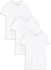 [Fruit of the Loom] Men's 3-Pack Big Size Crew T-Shirt
