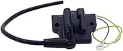 A.A Ignition Coil Replacement for Johnson Evinrude Outboards 0582106, 0582366, 0581998, 0584561, 18-5176