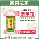 【蔬菜之家滿額免運】磷來花1公升(高％亞磷酸鈣鋅液肥)根部生長及開花期使用//●磷、鈣、鋅協同作用