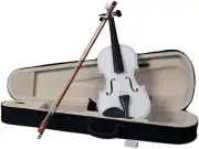 Violin for Beginners Students,Acoustic Violin 4/4,Full Size Violin,Violin Kit W