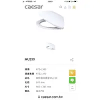 在飛比找蝦皮購物優惠-高評價 價格保證 Caesar 凱撒衛浴  MU230  緩