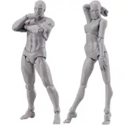 Body Doll, Artists Manikin Blockhead Jointed Mannequin Drawing Figures5058