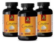 energy booster - CREATINE MONOHYDRATE POWDER 300g - creatine powder - 3 Bottles