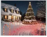 30'' Christmas Candy Cane Pathway Markers Lights - Set of 20 Christmas Stakes...