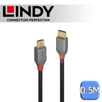 在飛比找PChome24h購物優惠-LINDY 林帝 ANTHRA USB 2.0 Type-C