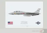 Warhead Illustrated F-14A Tomcat VF-14 Tophatters 107 Aircraft Print