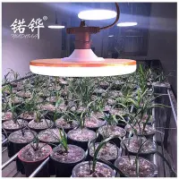 在飛比找Yahoo!奇摩拍賣優惠-高亮園林日光型防水家庭led植物燈蘭花熱值生長全光譜 蔬菜補