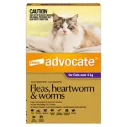 Advocate for Large Cats Over 4kg Purple Fleas Worms Heartworm Treatment 3 pack