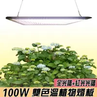 在飛比找ETMall東森購物網優惠-君沛 燈板系列 100瓦 吊掛式 植物燈 雙色溫 植物成長專