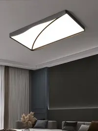在飛比找Yahoo!奇摩拍賣優惠-客廳燈2022年新款簡約現代高檔大氣北歐燈具臥室燈創意極簡吸
