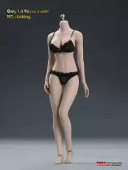 1/6 Seamless Female Body Phicen Suntan TBLeague S12D 1/6 Big Bust For 12in Doll