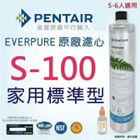 在飛比找PChome商店街優惠-【EVERPURE】美國原廠 S100濾心/濾芯 美國濱特爾