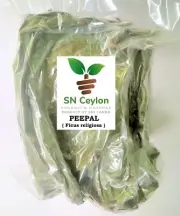 Dried PEEPAL LEAVES Ficus religiosa sacred fig Buddhism Pooja Bodhi 500 leaves