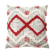 Accessorize Ronan Multi 45x45cm Filled Cushion
