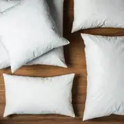 2x Belle Duck Feather Throw Pillow Cushion Insert Stuffer 30x60cm Square White