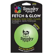 Spunky Pup Fetch & Glow Durable Dog Toy Ball - 3 Sizes