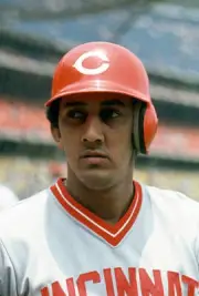 Dave Concepcion of the Cincinnati Reds 1981 Baseball Photo 8
