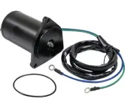 Power Tilt Trim Motor for Yamaha Outboard 40 50 60 70 90 HP 6H1-43880-02-00 6260