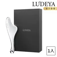 在飛比找momo購物網優惠-【LUDEYA】微電流緊緻提拉美容儀(FR小法拉)