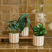 Artificial Hughie Potted Plant [MUSHUGPS23]