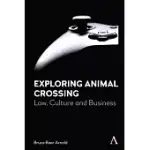 EXPLORING ANIMAL CROSSING: LAW, CULTURE AND BUSINESS