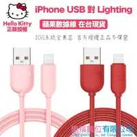 在飛比找樂天市場購物網優惠-Hello Kitty iPhone 充電線 傳輸線 USB