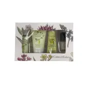 Crabtree & Evelyn Citron Honey & Coriander Shower Gel Body Lotion Hand Therapy