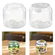 Turtle Container Decorative Step Terrarium for Farmhouse Cafe Living Room