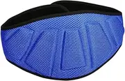 Frediuo Weight Lifting Belt for Men Women Training Belt Padded Supplies Back Lumbar Support Strap for Squat Bodybuilding Exercise Gym