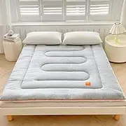 Foldable Thick Warm Arctic Velvet Soft Mattress Home Hotel Dormitory Single Double Mattress