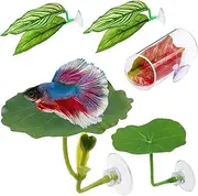 Leaf Hammock Betta Fish | Fish Spawning Grounds - Decorative Guppy Resting Bed for Breeding, Set of 5 Aquarium Spawning Grounds