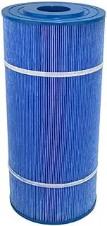 Astral ZX100 Antibacterial Pool Filter Cartridge - Water TechniX OEM Replacement Element, Long Lasting Trilobal Material, Easy Replacement, Superior Clarity, 12-Month Warranty
