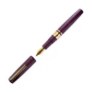 Esterbrook Model J Fountain Pen in Blackberry Ebonite w/ Gold Trim -Needle Point