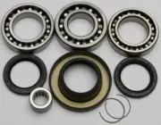 All Balls Differential Bearing & Seal Kit _ 25-2061