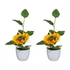 2 Pcs Desktop Ornament Vivid Faux Bonsai Greenery House Artificial Plants