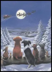 Greeting Card - Cat Dog Mouse Rabbit - Chrissie Snelling - Christmas 0695