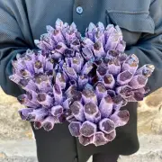 5.8LB Newly Discovered Purple Phantom Quartz Crystal Cluster Mineral
