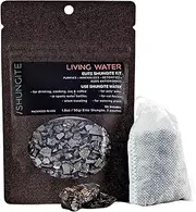 Modern ŌM Shungite Living Water Kit | Ready to Use Authentic Elite Shungite Detoxification Stone Gravel Pouch Kit for Natural Water Purification, Neutralizes Bacteria, Contains Antioxidants