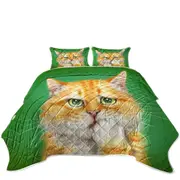 Cats Funny Faces Drawings a Concerned Ginger Coverlet