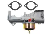 Carburetor Carb For Briggs & Stratton 391789 491028 391787 Gas Engine