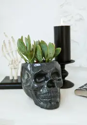 [Dolls Home] Dead Things Grow Skull Planter