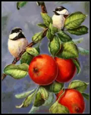 Chickadees and Apples - DIY Chart Counted Cross Stitch Patterns Needlework