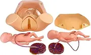 LBOYU Birth Simulator with 2 Fetus & 2 Placenta & 2 Umbilical Cord & Carrying Bag, Life Size Pelvic Child Birth Model for Education and Training